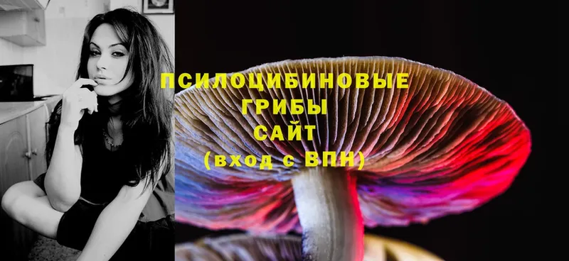 Псилоцибиновые грибы Psilocybe  Сатка 